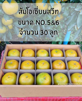 ส้มโอเชี่ยนสวีท ขายส่ง ฝาง เชียงใหม่ ออนไลน์ 3