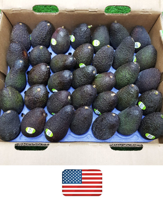 Avocado1-2