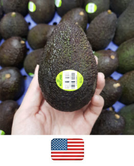 Avocado1 3