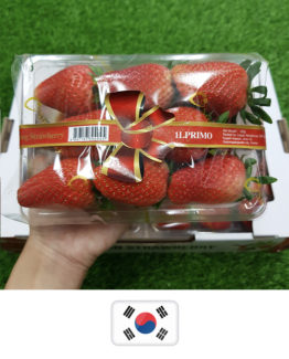 Strawberry_Korea1-1