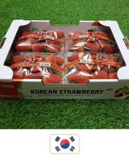 Strawberry_Korea1-2