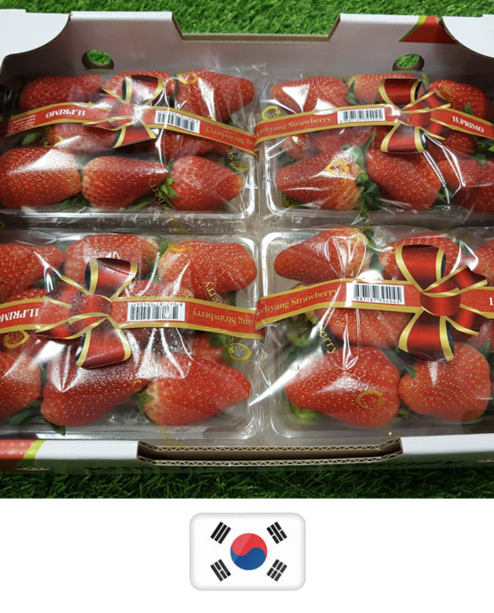 Strawberry_Korea1-3