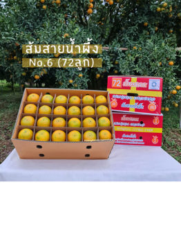ส้มสายน้ำผึ้งขายส่ง ฝาง เชียงใหม่ ออนไลน์ 3